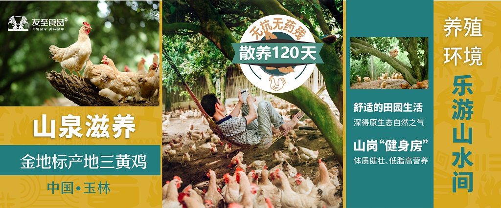 新闻咨询 新闻咨询